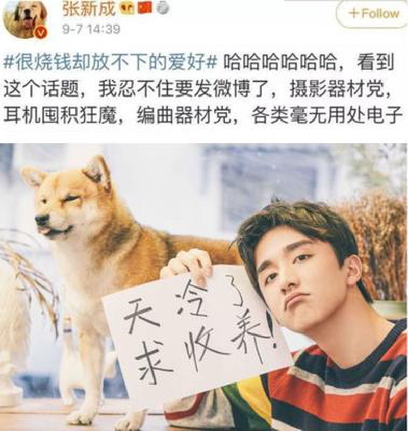 张新成