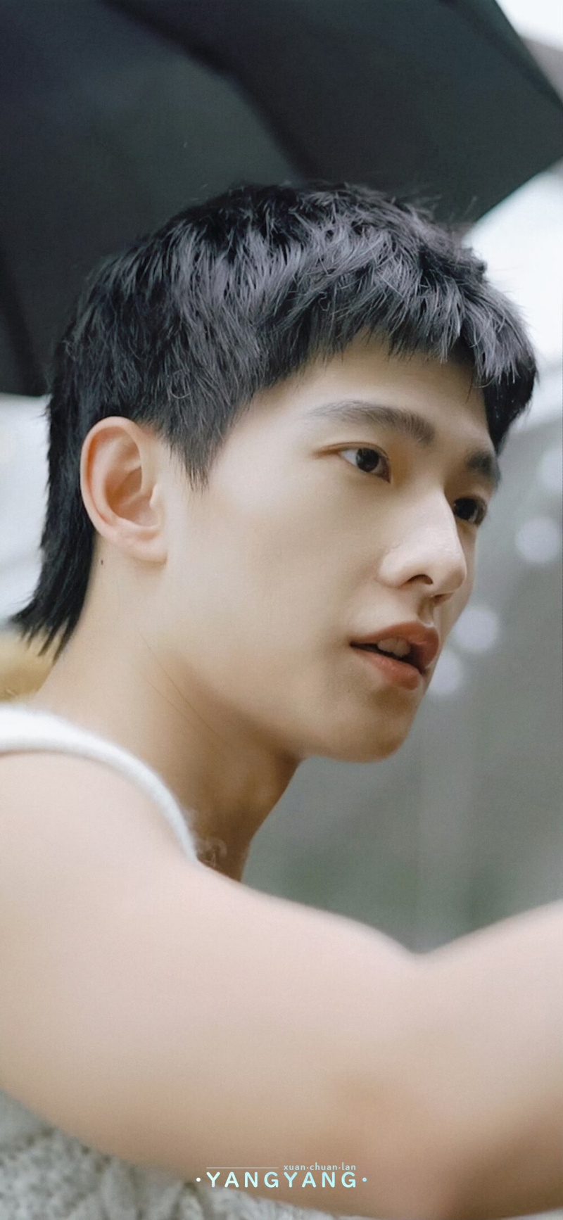 杨洋