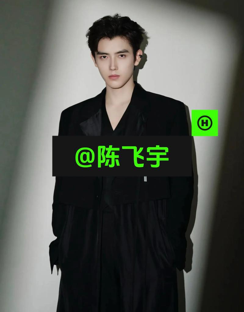 陈飞宇